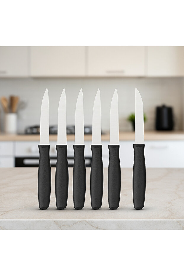 Sharp Knife Set 6 Pcs for cutting fruit in the kitchen or for Serving