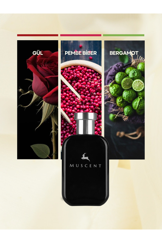 N343 Atomic Rosee 50 ml. - 1