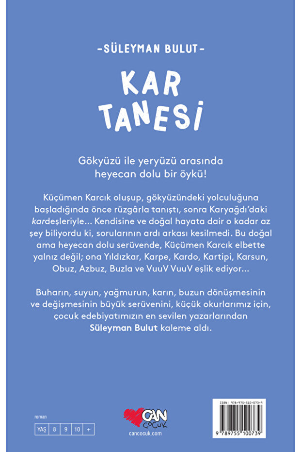 Kar Tanesi - 4