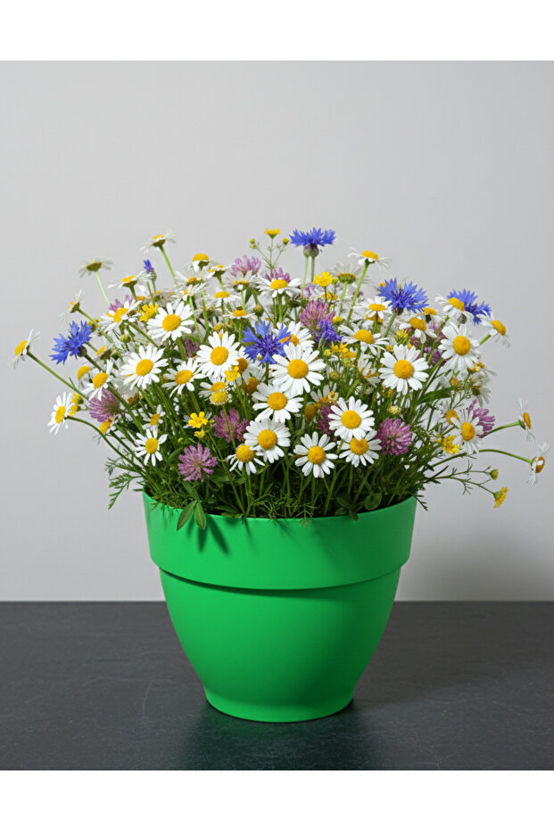 Renkli Saksı 25cm - 3