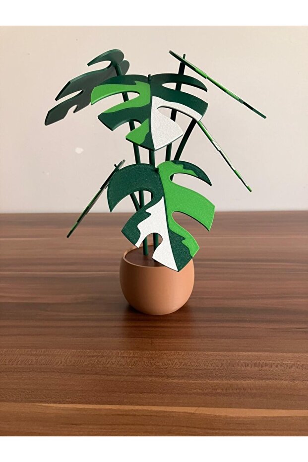 قاعدة كوب على شكل نبات رافيدافورا - 4