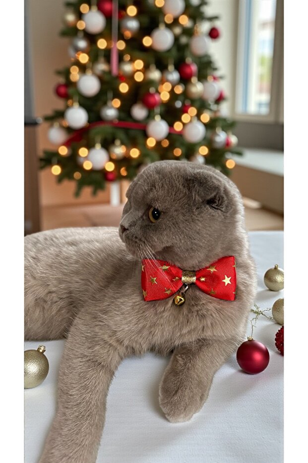 Red Star Printed Ribbon Bow Tie Cat and Small Breed Dog Collar