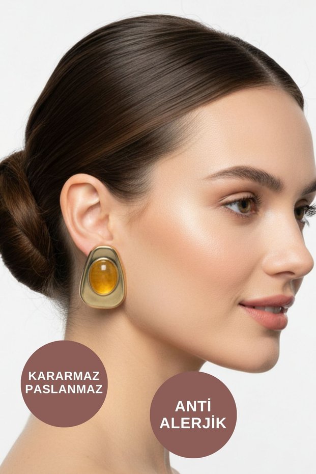 Women's Anti-Allergic Non-Tarnish Waterproof Amber Stone Plate Stylish Gold Brand Earring Models