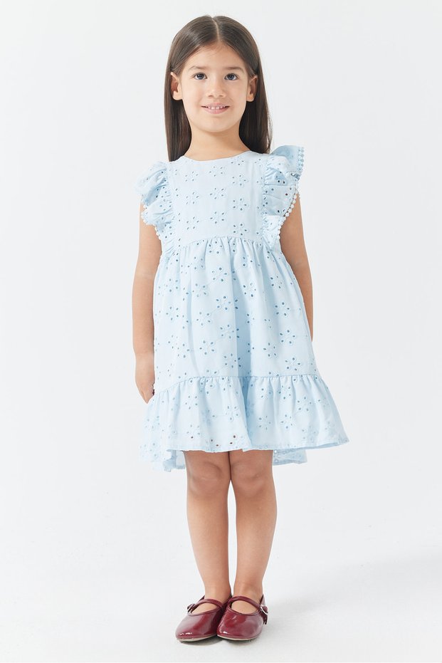 Girl's Ruffled and Embroidered Detailed Dress