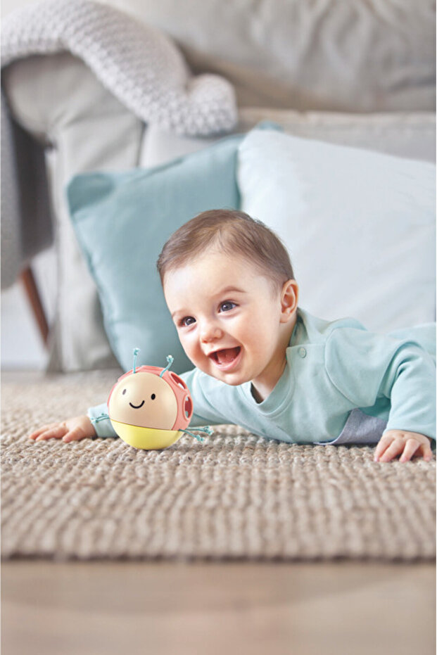 لفة الحشرات المزدحمة - 6