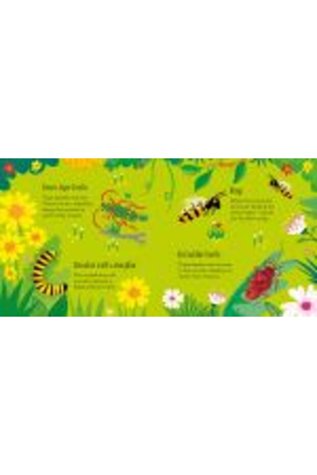 Bugs Matching Games - 7