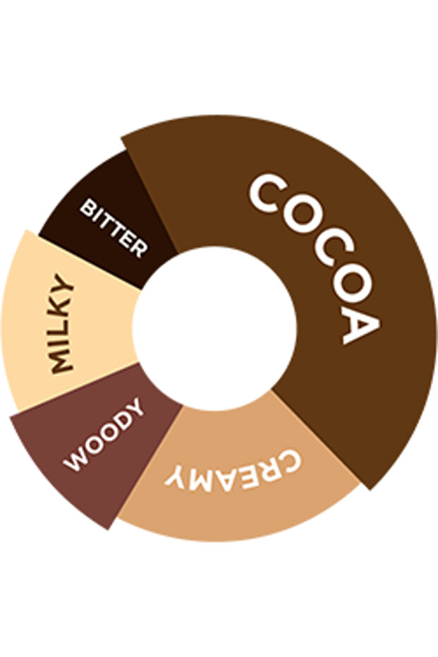 - Chocolate Şurup - 750 ML - 2