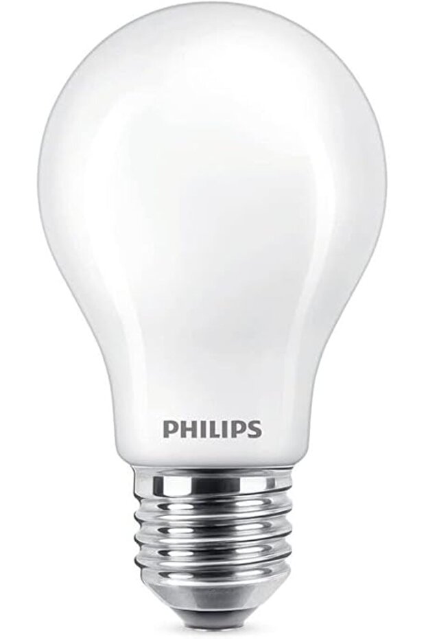 LED classic 100W A60 E27 FR WGD90 SRT4 - 2