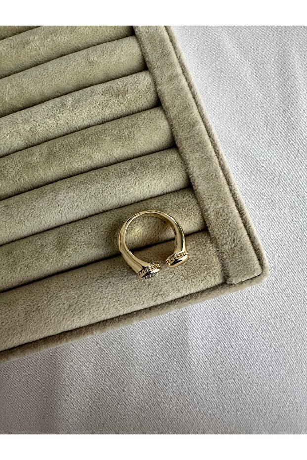 خاتم ذو نقطتين - 2