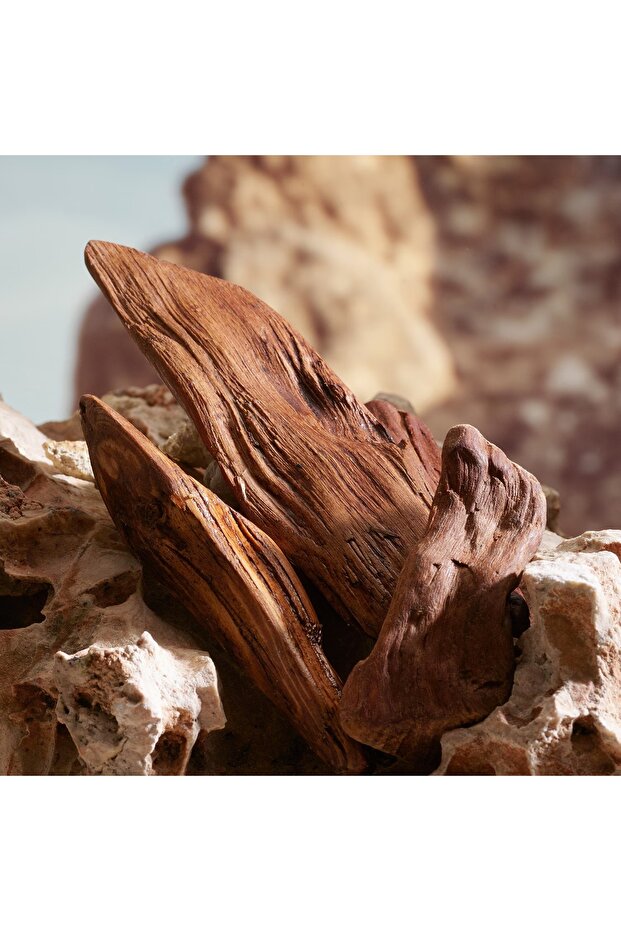 K by - Parfum 100 ML - 5