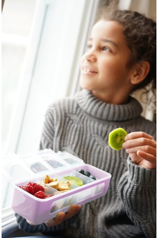 Snack box 4 compartments, - 3