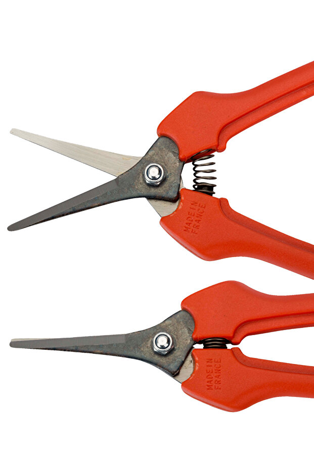 مقص تقليم فواكه تايواني - 2