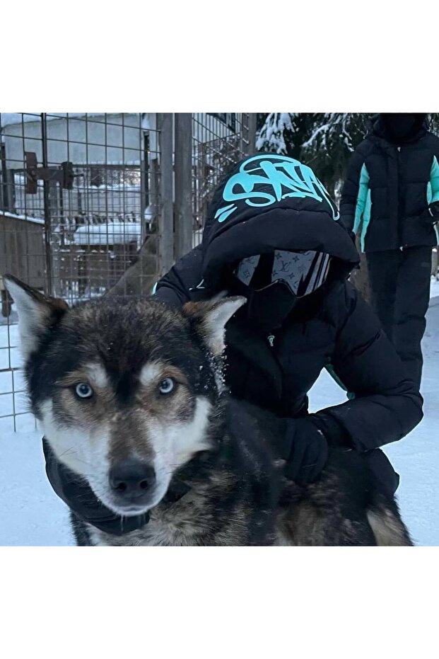 Hood Puffer Unisex Mont - 4