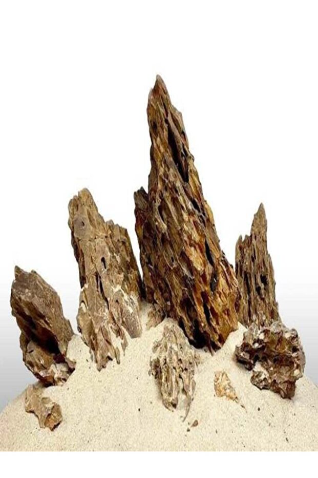 Dragon Stone (1kg) - 1