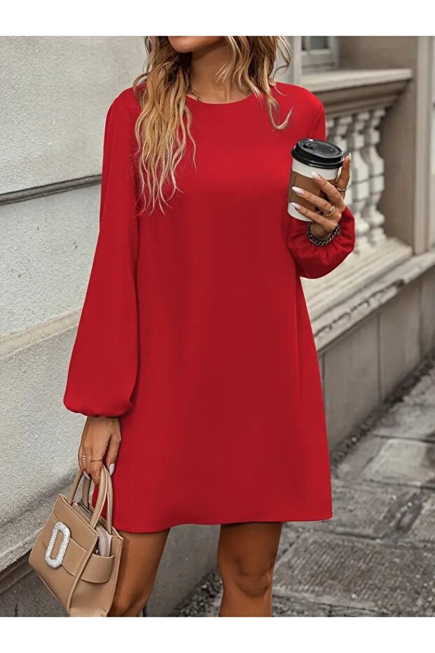 Women's Long Sleeve Round Neck Mini Imported Crepe Dress