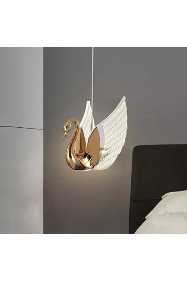 انارة البجعة الطائرة - 1