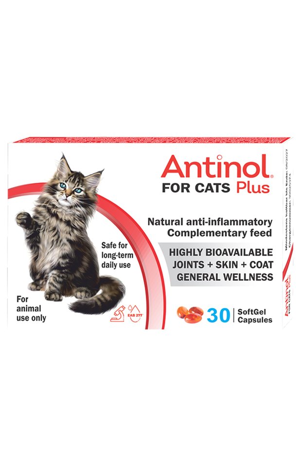 Cat Joint Supplement 30 capsules