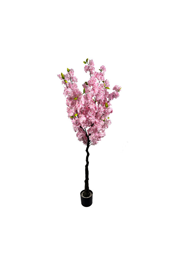 Cires Inflorit 160cm - 1