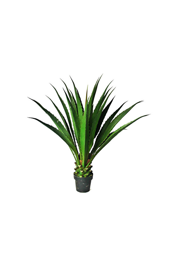 Tropical Tree 100cm - 1