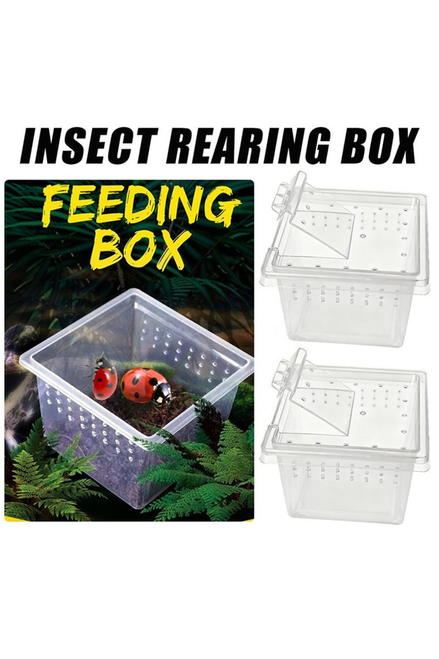 10x Feeding Box Reptile Cage Hatching Container Rearing Tank Clear Reptile Vivarium Terrarium Ins...