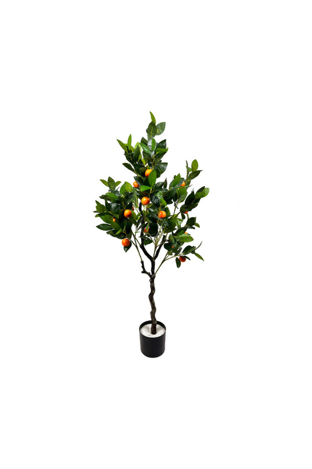 Portocal 120cm