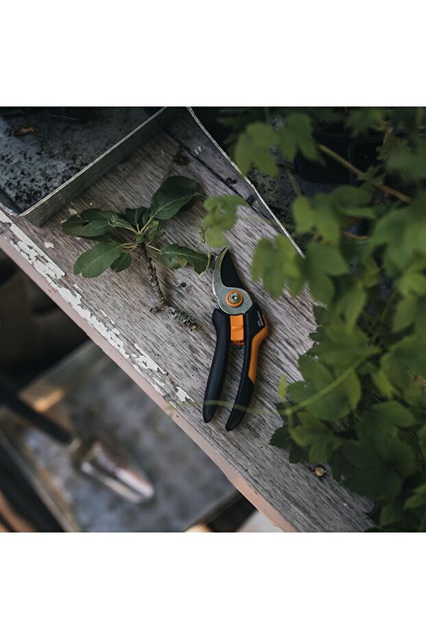 Step-by-step garden scissors Solid (P321) - 4