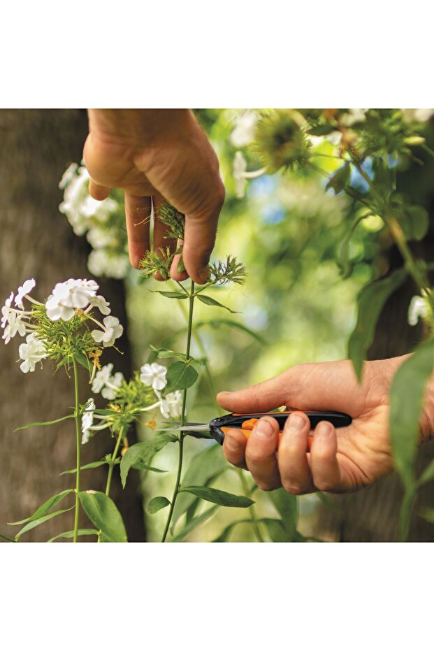 Solid MicroTip SP13 flower scissors, 140 mm, 40 g - 8