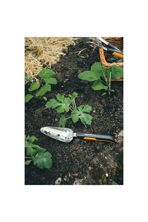 Γλάστρα Xact - 3