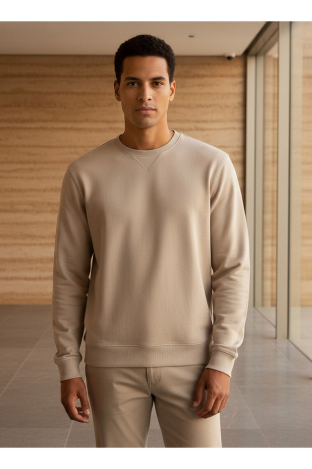 Men Regular Fit Crew Neck Sweatshirt