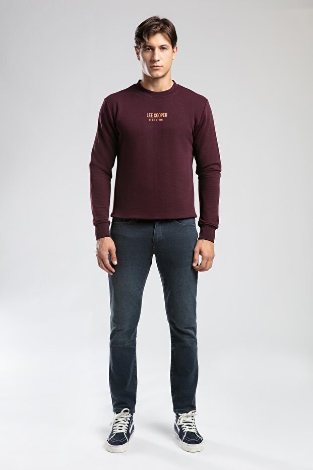 Frose men's crew neck sweatshirt - plum