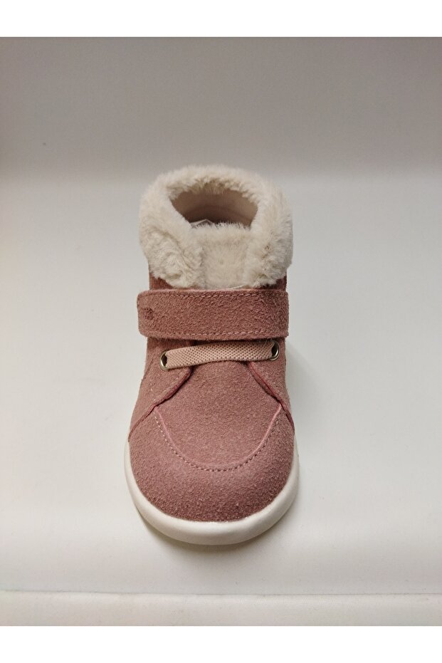 Tinky İlk adım phylon bot - 2