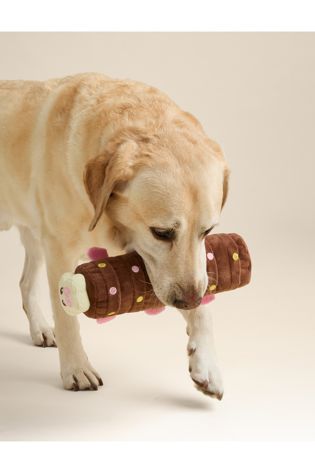 Evcil Hayvan Oyuncağı - 3