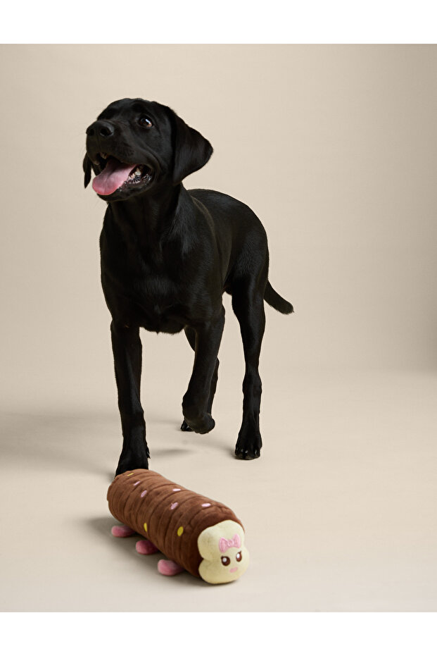 Evcil Hayvan Oyuncağı - 4