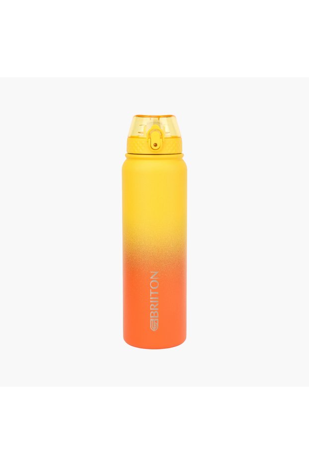 Ombre Insulated Stainless Steel Water Bottle - 1 L