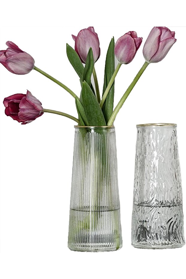 Thickened Clear Glass Vases Set of 2 Cone Vases (Transparent)