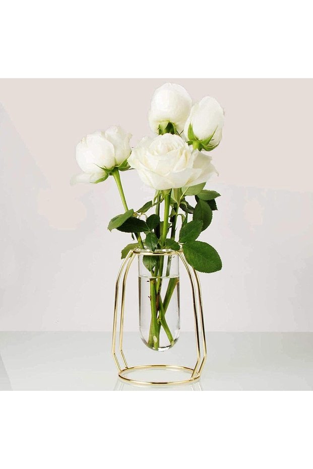 Glass Flower Vase with Gold Metal Frame – Test Tube Vase