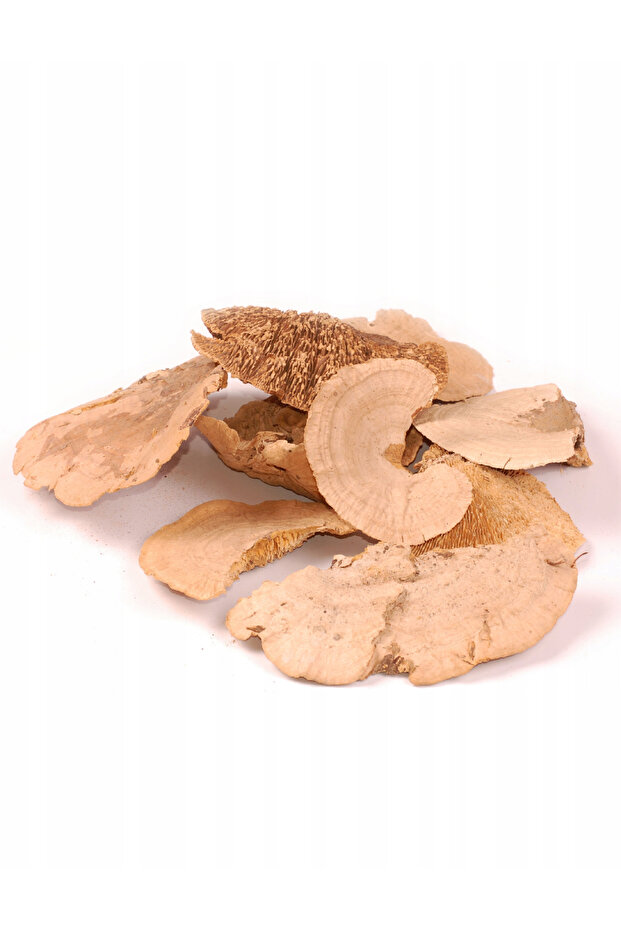 Accessory, Brown - 2