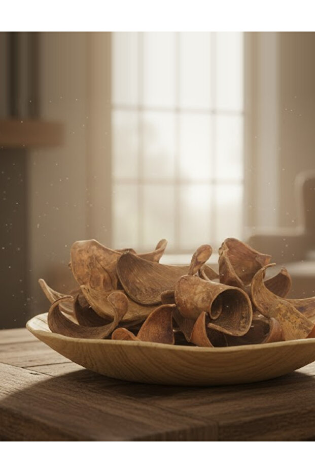 Accessory, Brown - 1