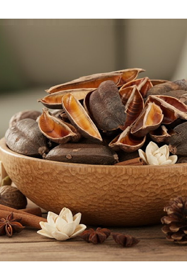 Accessory, Brown - 1