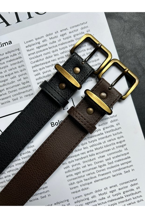 2-Piece Hard Oval Rectangular Pattern Women's Antique Vintage Buckle Belt Coat Belt Dress Pants Belt
