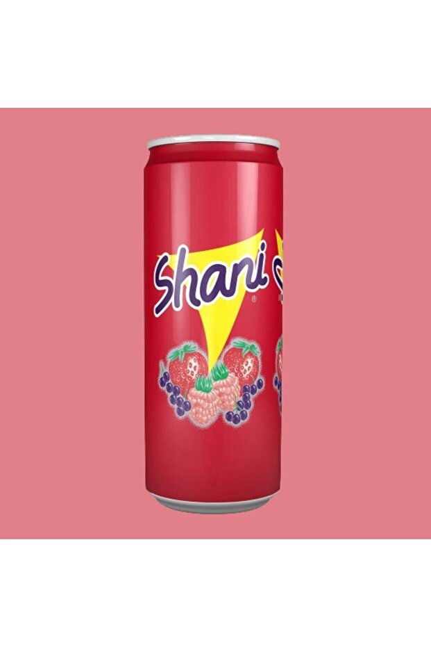 Fruit Flavored Drink 250ml