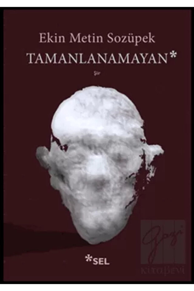 Tamanlanamayan - Ekin Metin Sozüpek