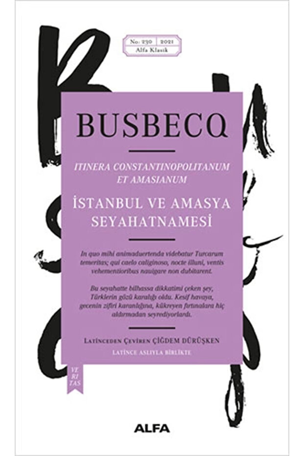 İstanbul ve Amasya Seyahatnamesi (Hardcover)