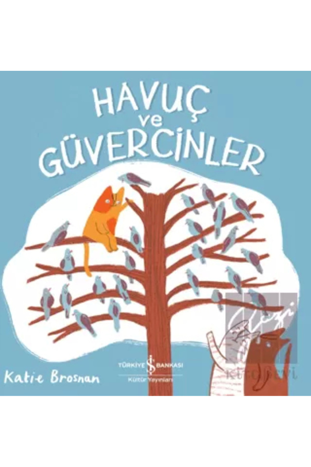 Havuç ve Güvercinler