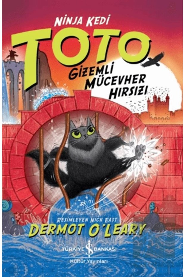 Ninja Kedi Toto – Gizemli Mücevher Hırsızı