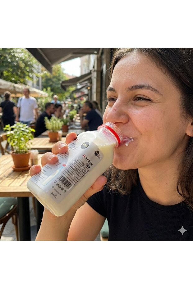 Ayran 250 ml