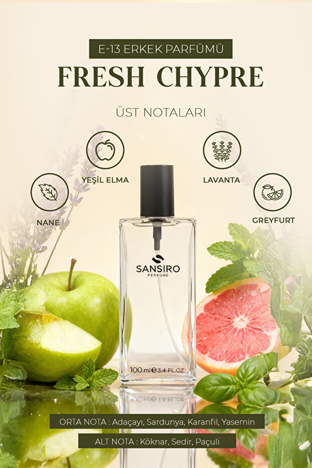 E-13 Erkek Parfüm 100ml Edp - 1