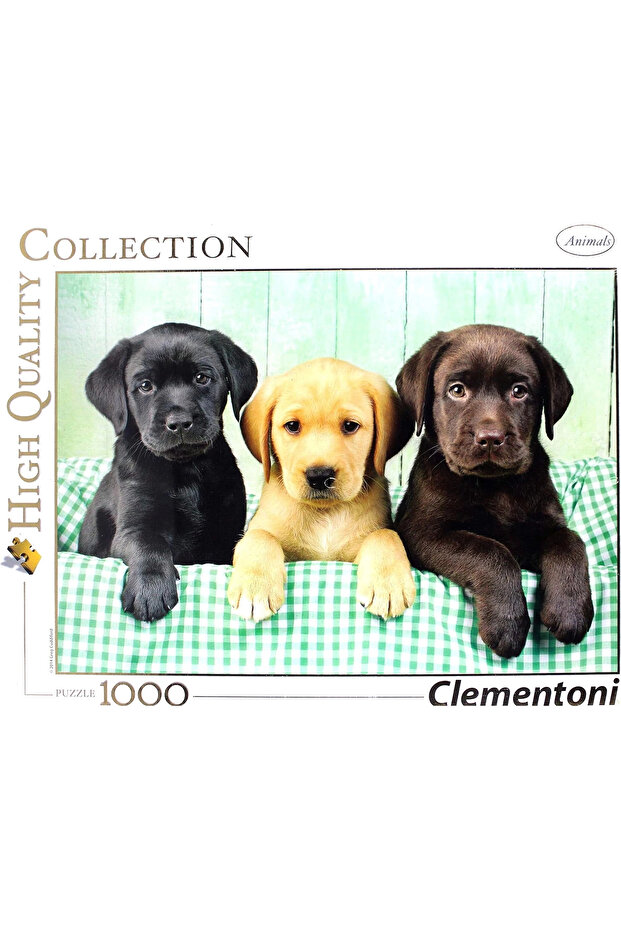 Labradors 1000 Parça Puzzle / - 2