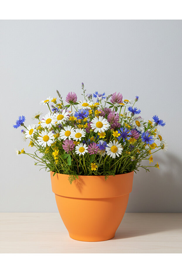 Renkli Saksı 25cm - 2