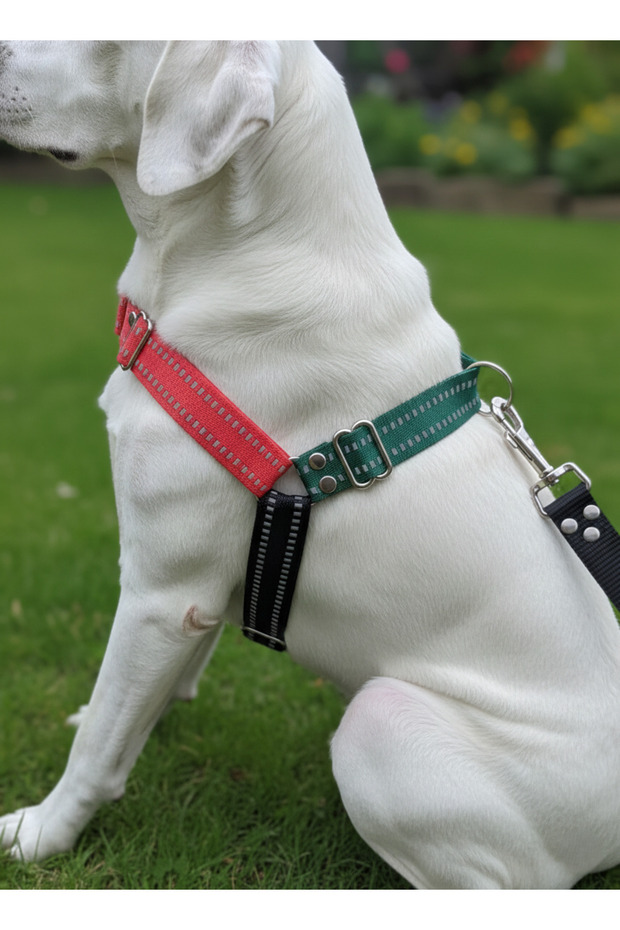 Dog Chest Harness for Large Breeds, Adjustable Front and Back Pulling Cord, Multi-Color